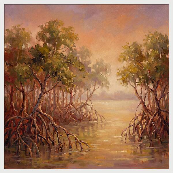 Mangrove Serenity At Dusk