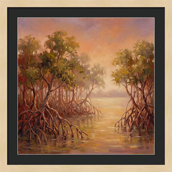 Mangrove Serenity At Dusk