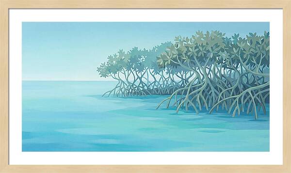 Mangrove Serenity By The Sea