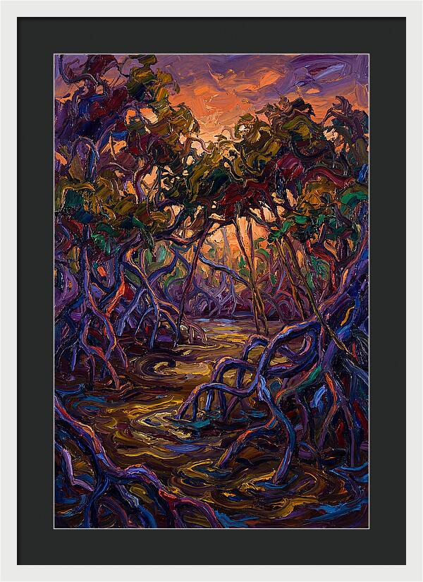 Mangrove Swamp Serenity