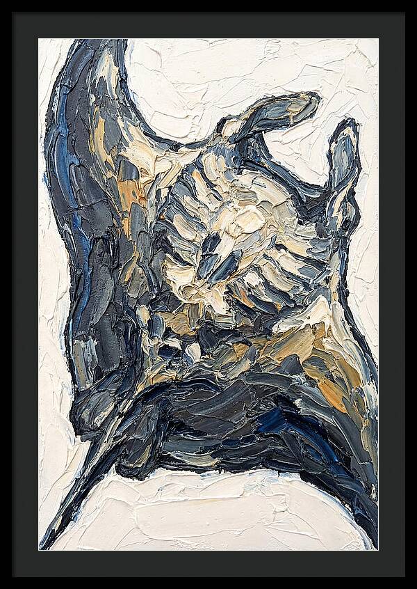 Manta Ray Elegance
