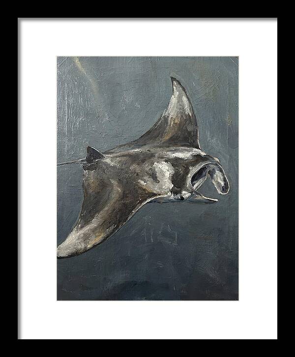 Manta Ray Gliding Through Water