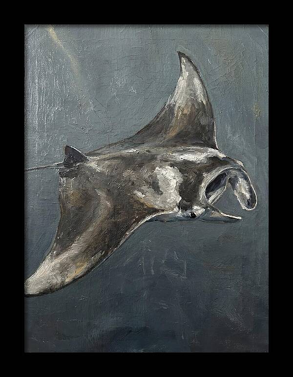 Manta Ray Gliding Through Water