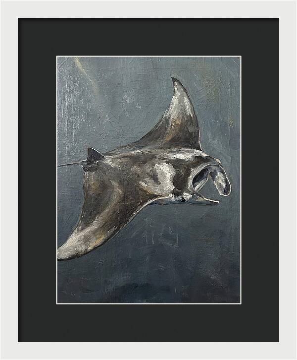 Manta Ray Gliding Through Water