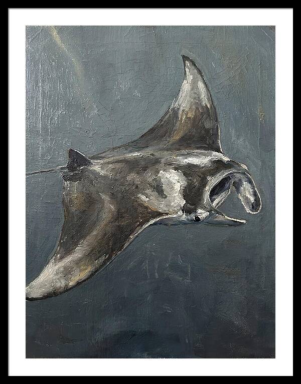 Manta Ray Gliding Through Water