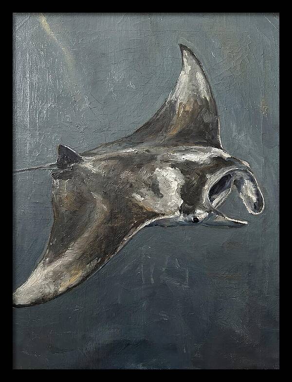 Manta Ray Gliding Through Water