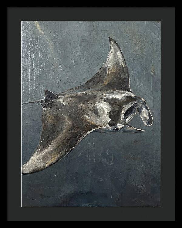 Manta Ray Gliding Through Water