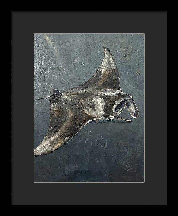 Manta Ray Gliding Through Water