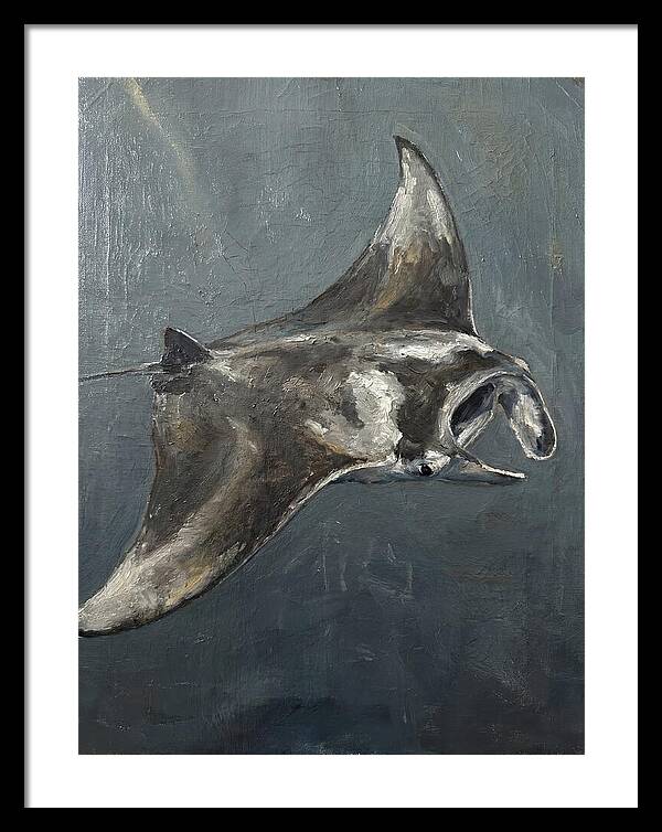 Manta Ray Gliding Through Water