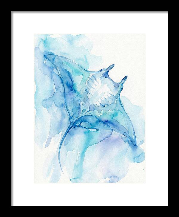Manta Ray In Tranquil Waters