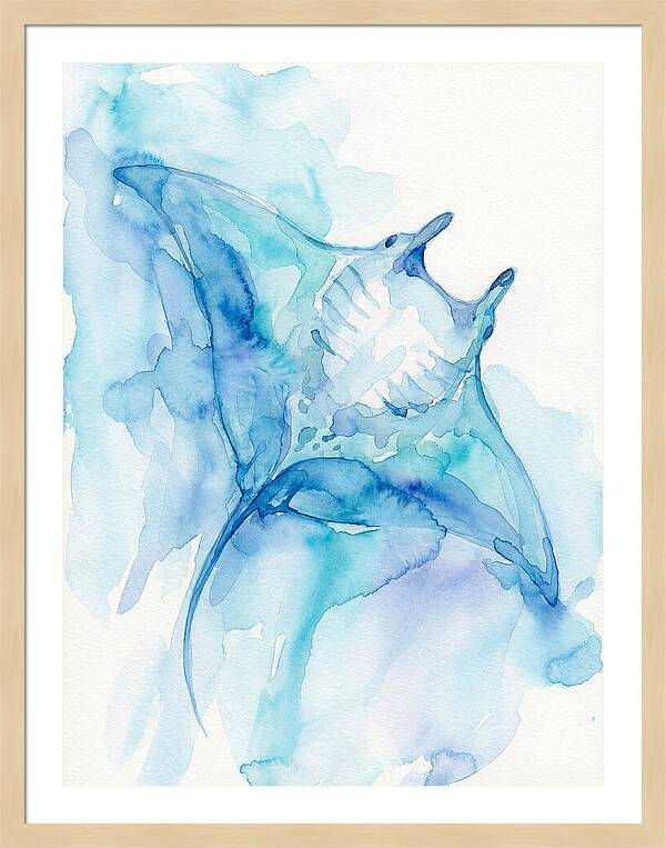 Manta Ray In Tranquil Waters