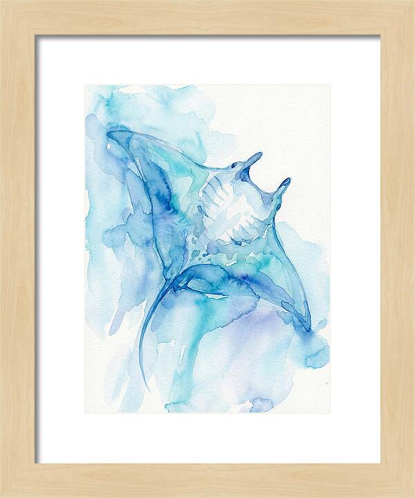 Manta Ray In Tranquil Waters
