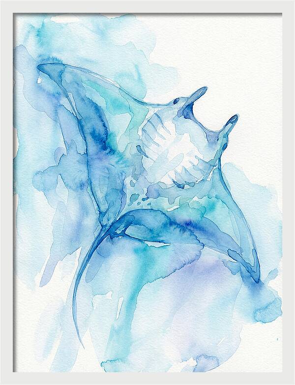 Manta Ray In Tranquil Waters
