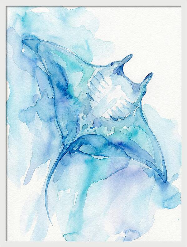 Manta Ray In Tranquil Waters