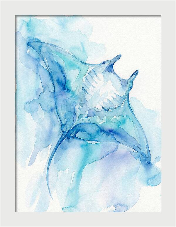 Manta Ray In Tranquil Waters