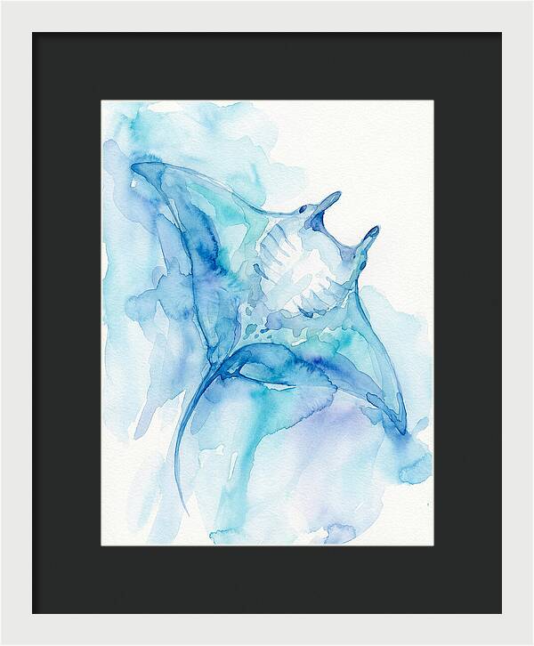 Manta Ray In Tranquil Waters