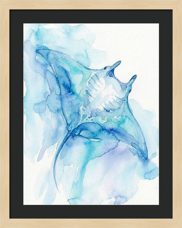 Manta Ray In Tranquil Waters