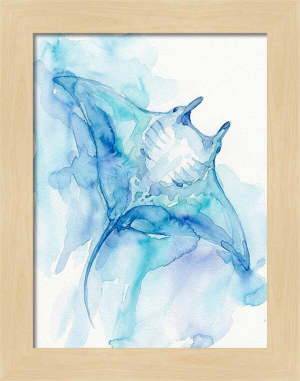 Manta Ray In Tranquil Waters