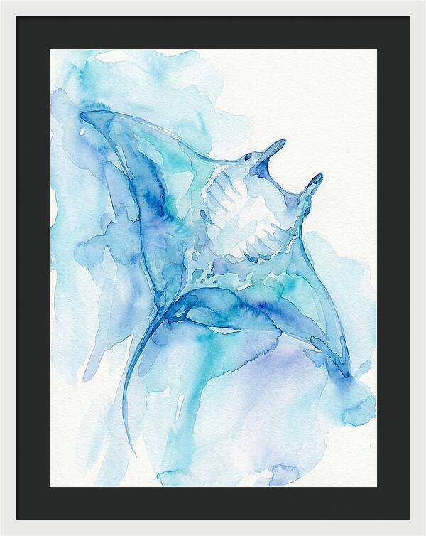 Manta Ray In Tranquil Waters
