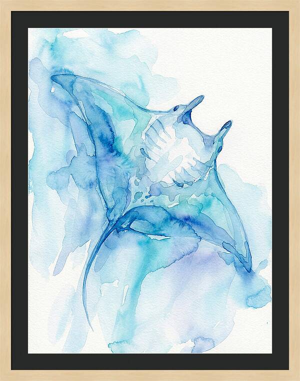 Manta Ray In Tranquil Waters