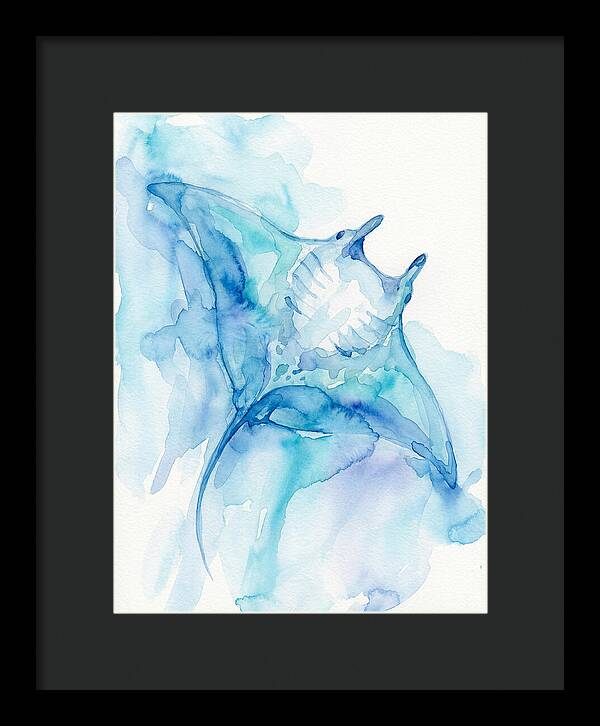 Manta Ray In Tranquil Waters