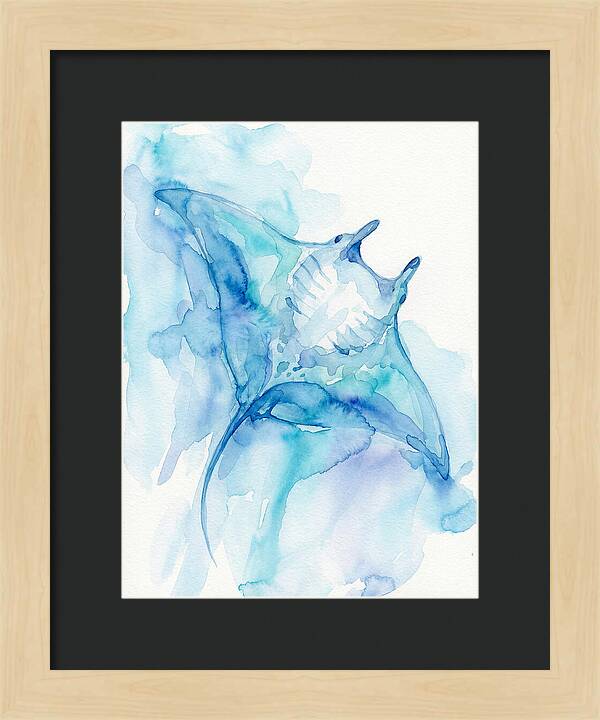 Manta Ray In Tranquil Waters