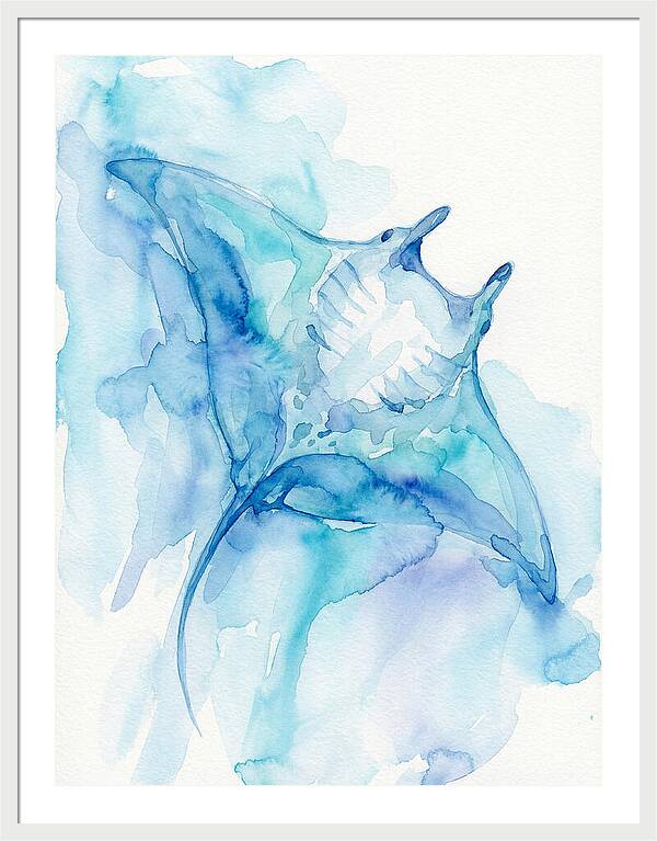 Manta Ray In Tranquil Waters