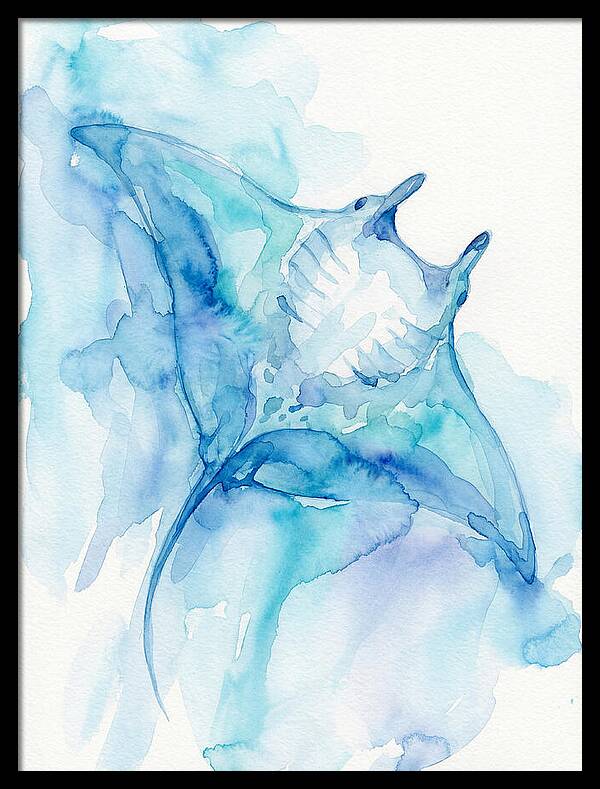 Manta Ray In Tranquil Waters