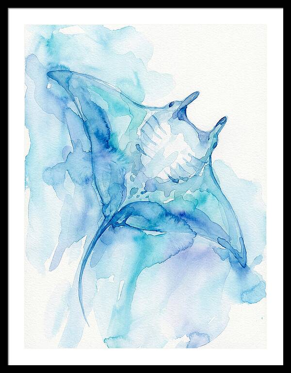 Manta Ray In Tranquil Waters