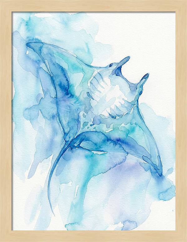 Manta Ray In Tranquil Waters
