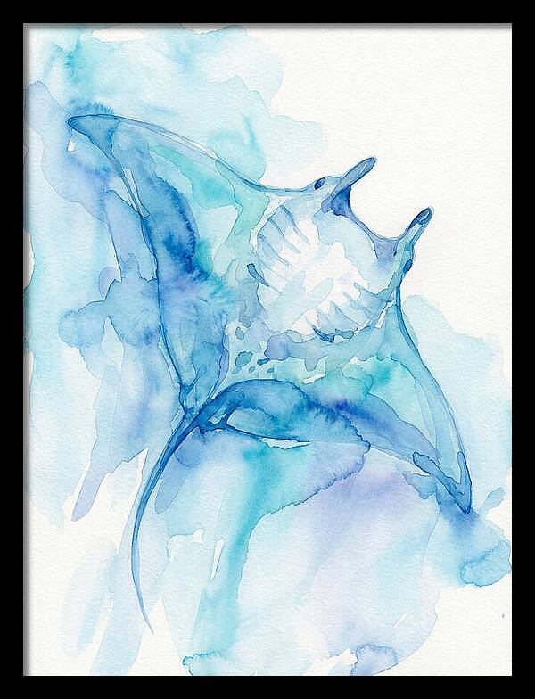 Manta Ray In Tranquil Waters