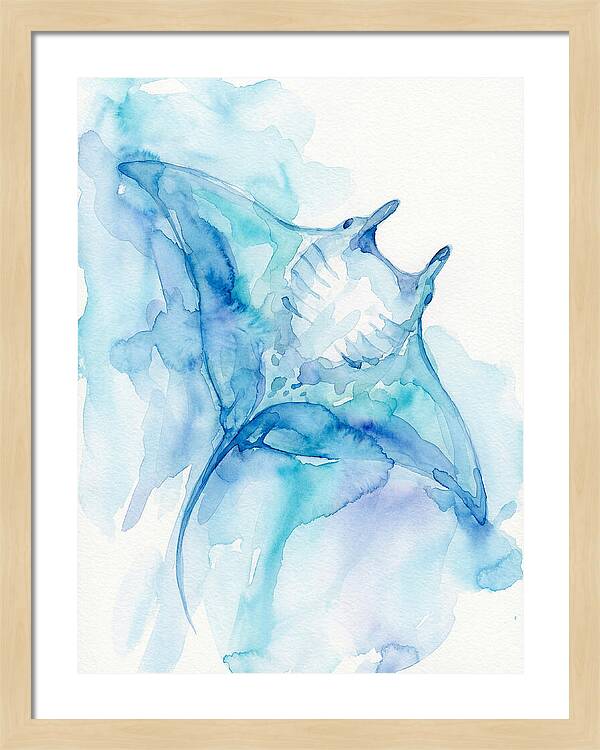 Manta Ray In Tranquil Waters