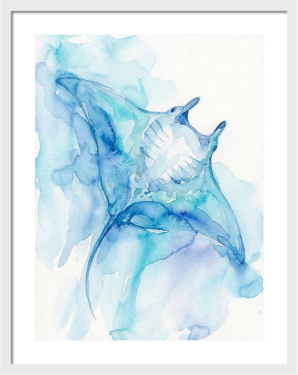 Manta Ray In Tranquil Waters