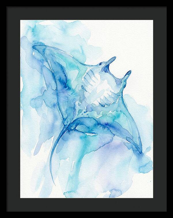 Manta Ray In Tranquil Waters