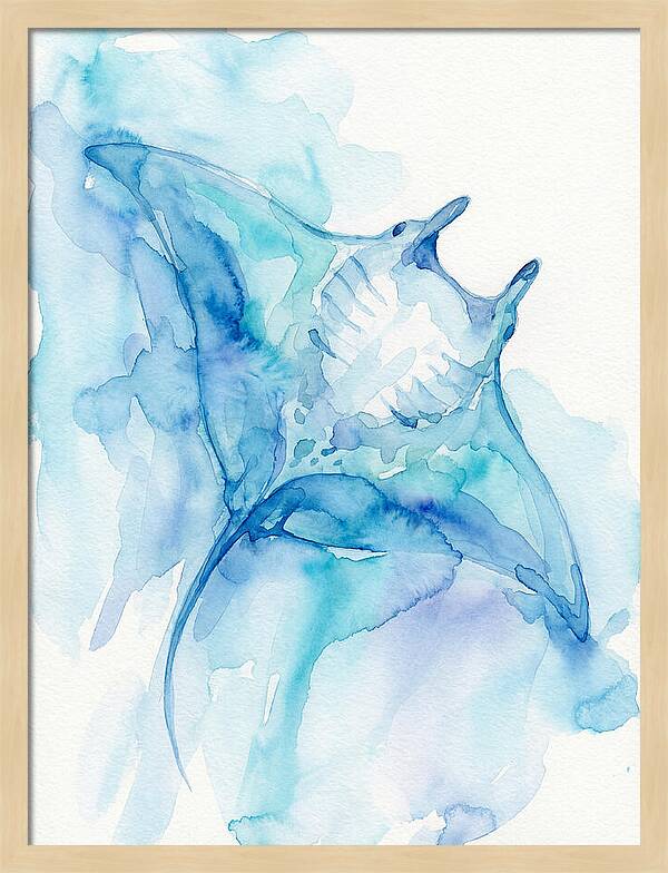 Manta Ray In Tranquil Waters