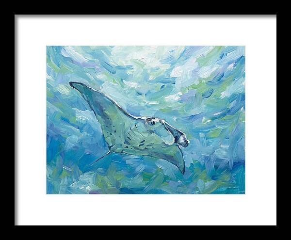 Manta Ray Swimming Gracefully