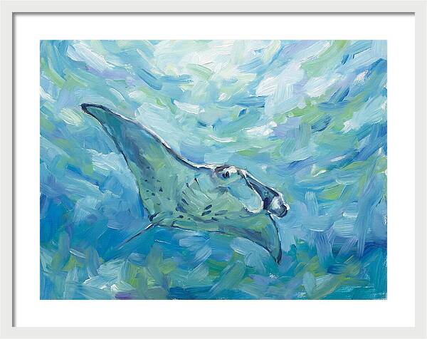 Manta Ray Swimming Gracefully