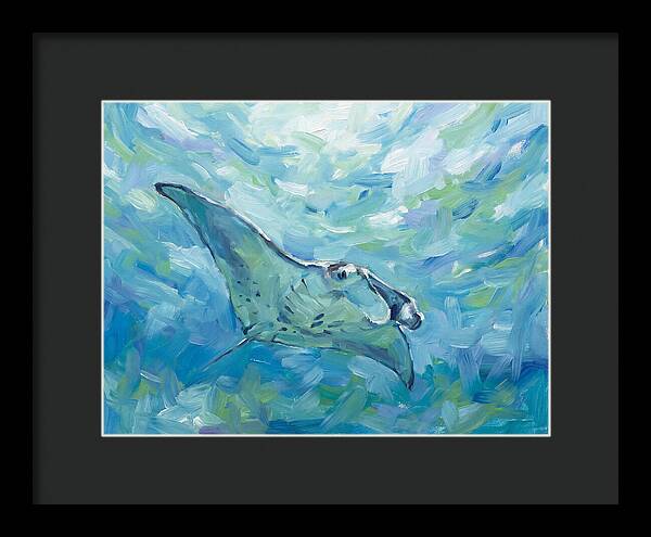 Manta Ray Swimming Gracefully