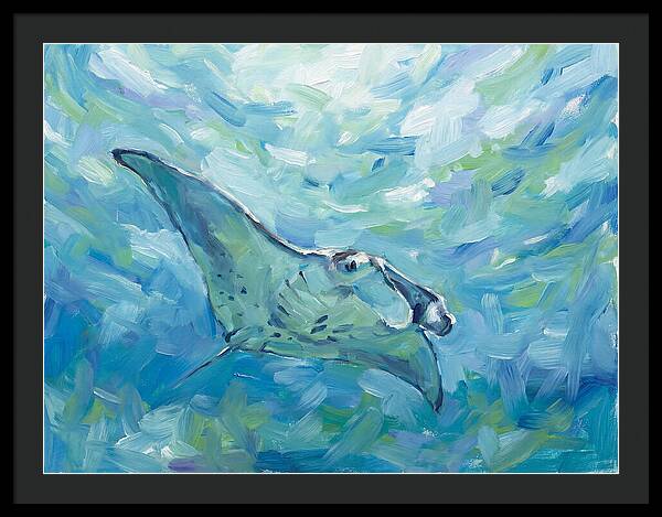 Manta Ray Swimming Gracefully