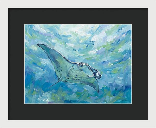 Manta Ray Swimming Gracefully