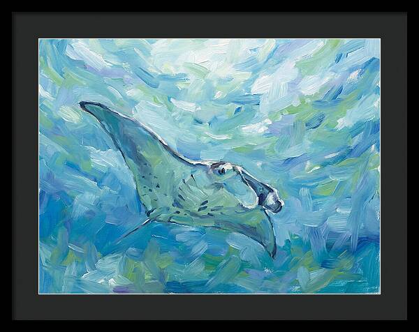 Manta Ray Swimming Gracefully
