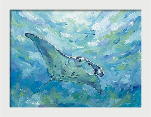 Manta Ray Swimming Gracefully