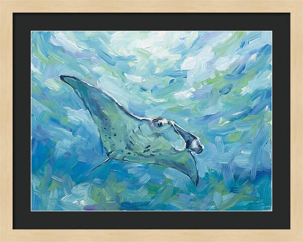 Manta Ray Swimming Gracefully