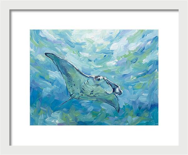 Manta Ray Swimming Gracefully