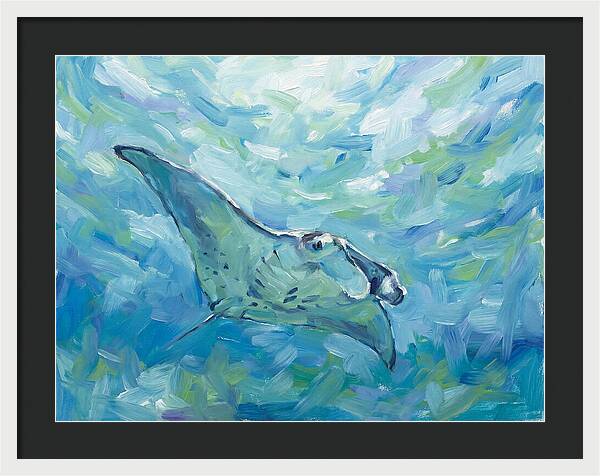 Manta Ray Swimming Gracefully