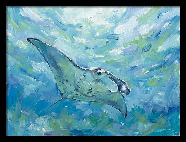 Manta Ray Swimming Gracefully