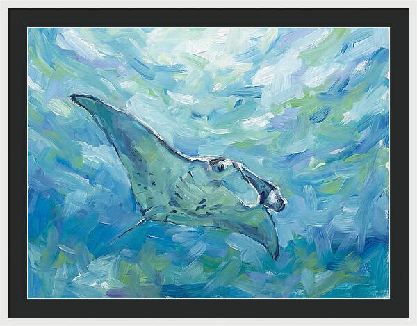 Manta Ray Swimming Gracefully