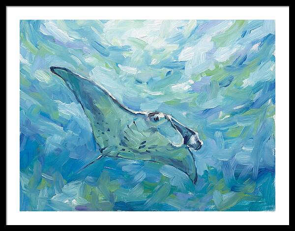 Manta Ray Swimming Gracefully