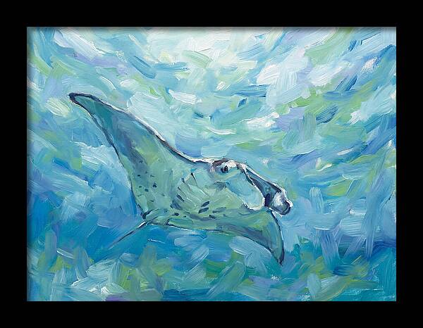 Manta Ray Swimming Gracefully