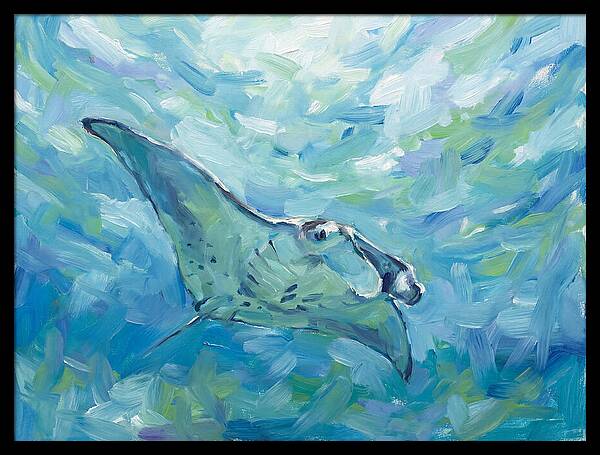 Manta Ray Swimming Gracefully